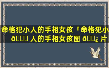 命格犯小人的手相女孩「命格犯小 🐕 人的手相女孩图 🌿 片」